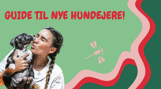 Den Ultimative Guide til Nye Hundeejere: Sådan Starter Du På Den Rigtige Pote 🐾