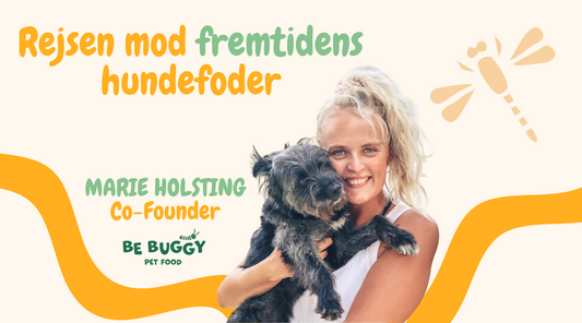 Fremtidens Hundefoder: Hvorfor Insektbaseret Hundefoder Er Vejen Frem