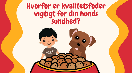 Hvorfor kvalitetsfoder er essentielt for din hund