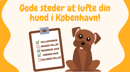 Din bedste løsning: hundeluftning i København