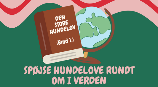 Spøjse Hundelove Rundt Om i Verden